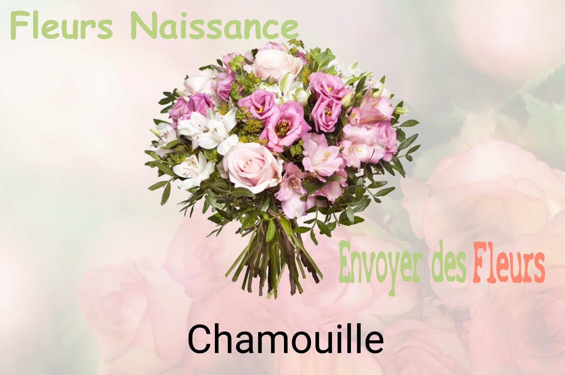 Bouquet de fleurs de naissance livré à Chamouille
